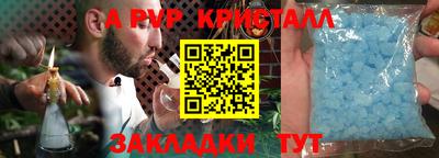 крисы Донской