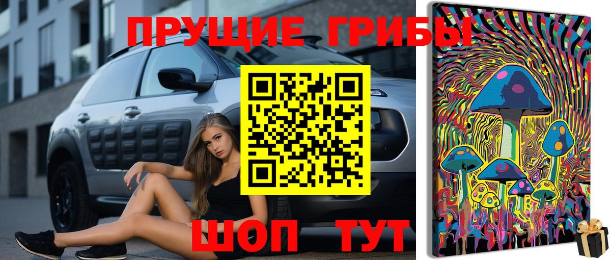 продажа наркотиков  Галлюциногенные грибы Psilocybe  Вход с VPN  Рассказово 